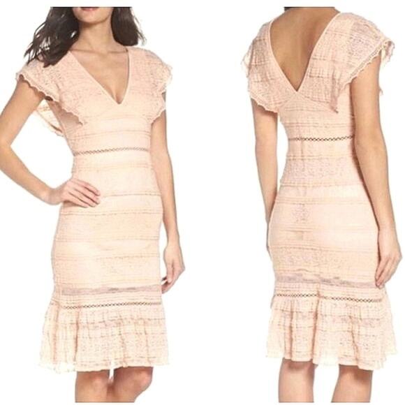 Valentine Foxiedox Trim Lace Sheath Dress in Blush Small - Picture 1 of 13